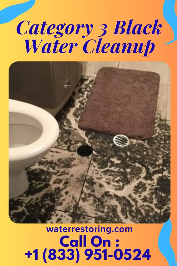 Category 3 Black Water Cleanup in Biddeford, ME